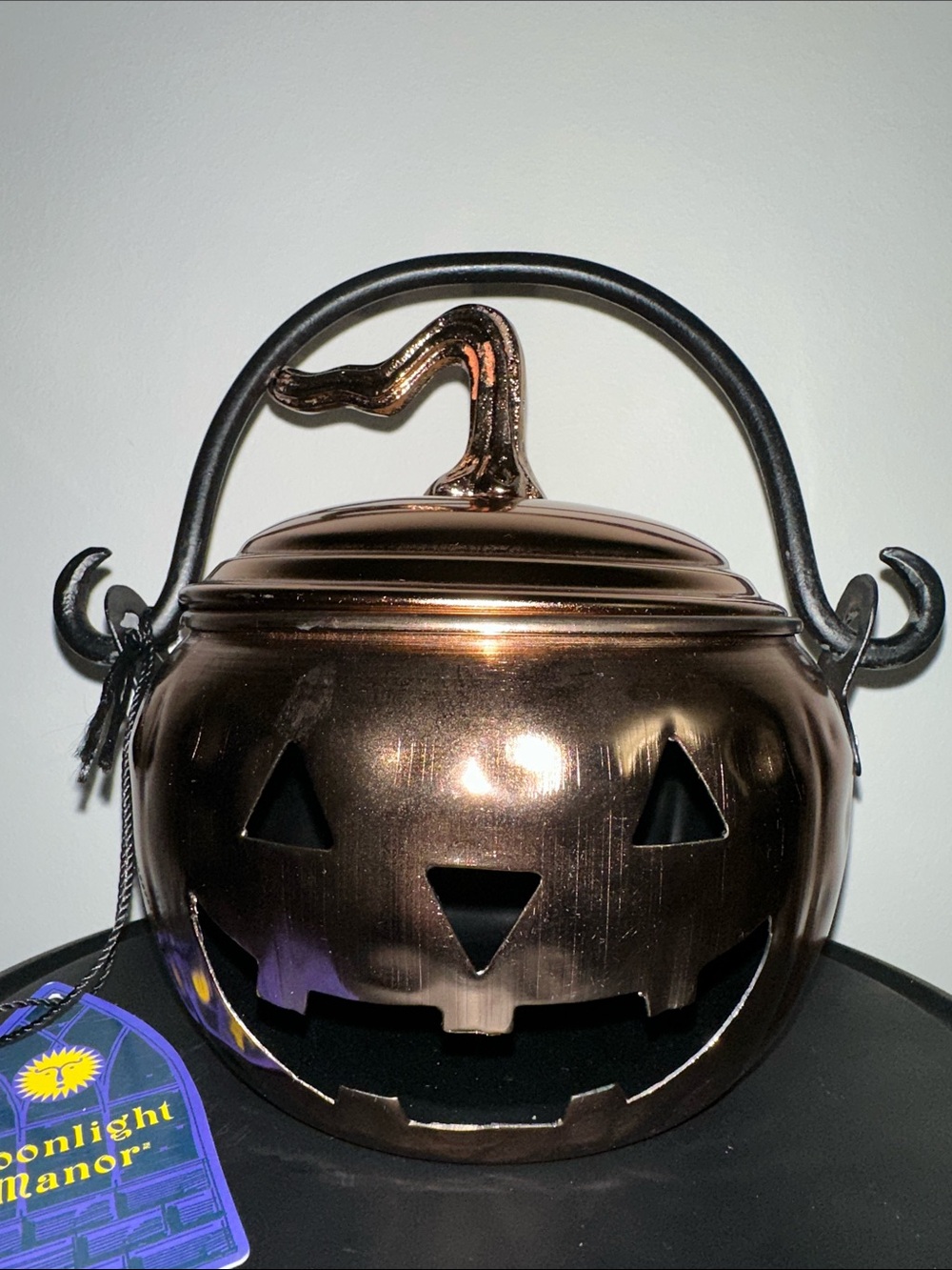Metallic Copper Pumpkin Candy Kettle Jack o lantern pot